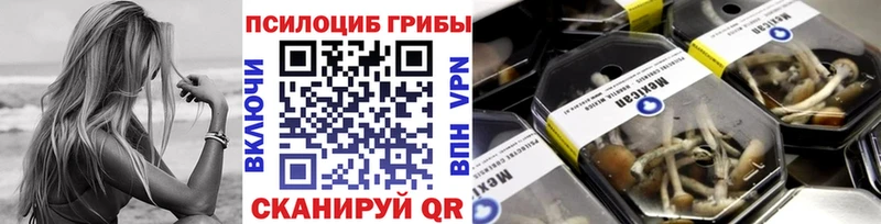 купить закладку  Урюпинск  ОМГ ОМГ ссылка  Псилоцибиновые грибы Psilocybe 